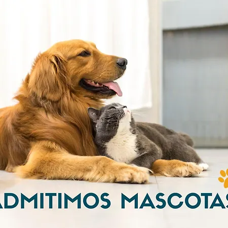 Appartement Escor 3000 *